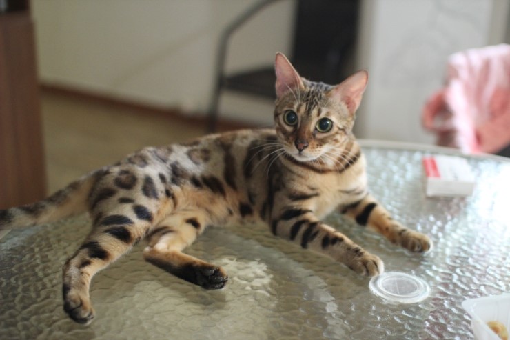 아이들.. 관련 이미지 4