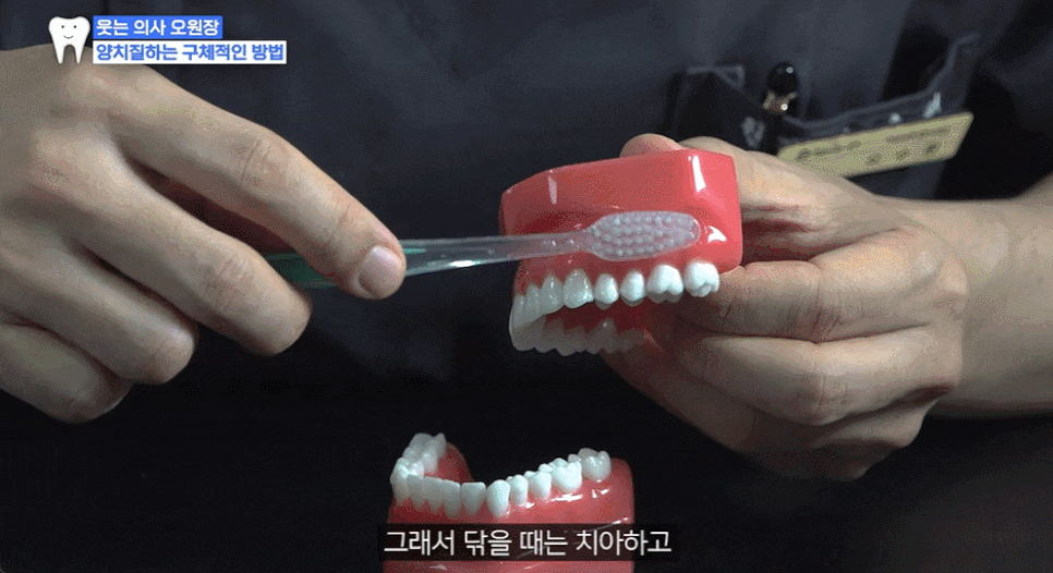 식후 양치? 이렇게만 해도 치과 갈 일 줄어듭니다 (올바른 양치 방법) 관련 이미지 4