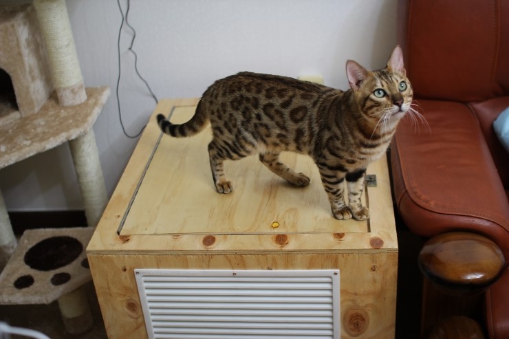 아빠가 될 레이.. 관련 이미지 2