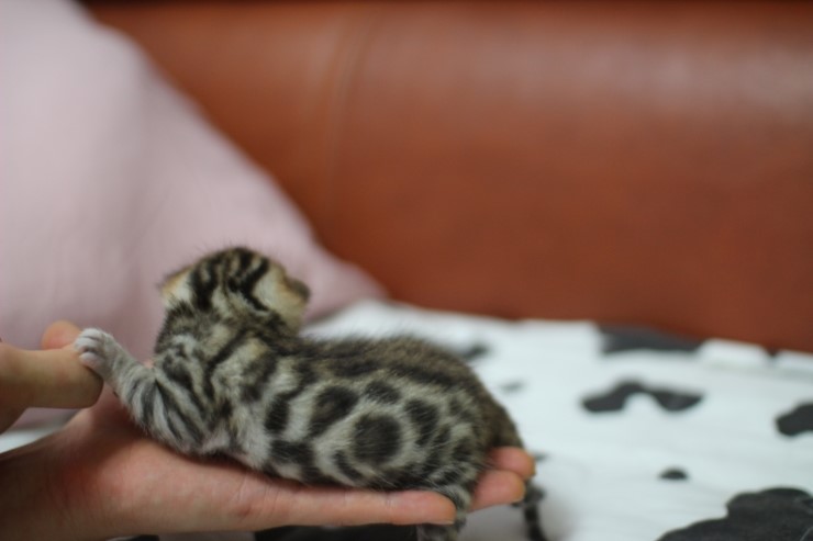 토실토실~ 관련 이미지 3