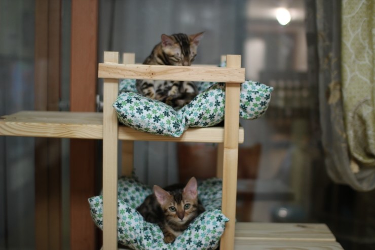 아이들 (2) 관련 이미지 2