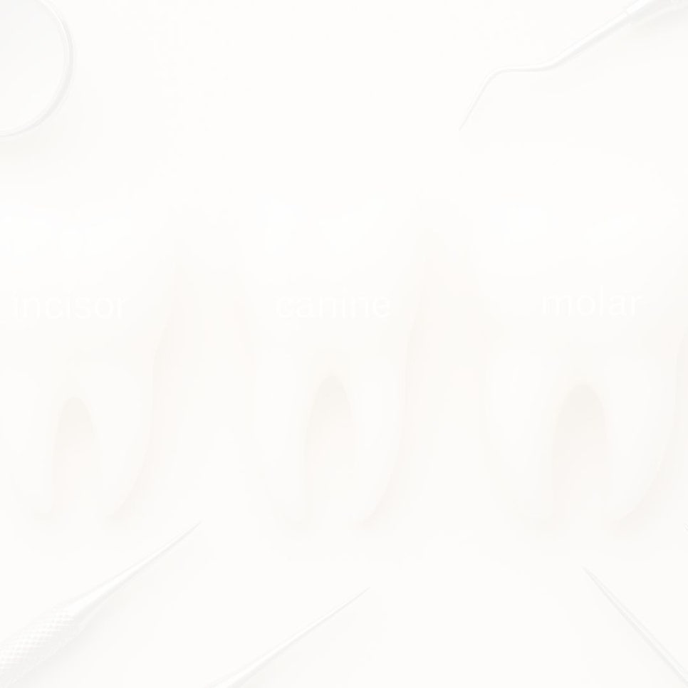 어린이 부정교합, 무턱 교정은 &lsquo;성장기 타이밍&rsquo;이 중요해요 관련 이미지 33