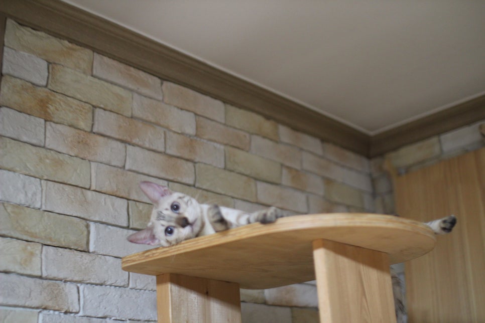 새해 복 많이 받으세요~ 관련 이미지 1