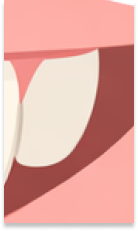 신사역 치과 추천 찾아본다면 관련 이미지 34