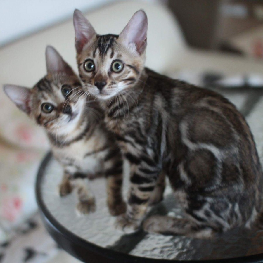 지난 사진 둘러보다 관련 이미지 1