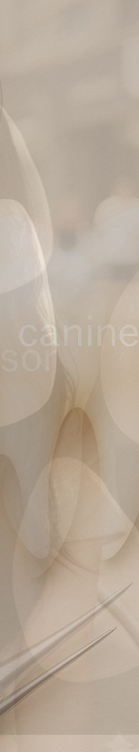 Looking Into Full Implant Placement Methods and Precautions image 18