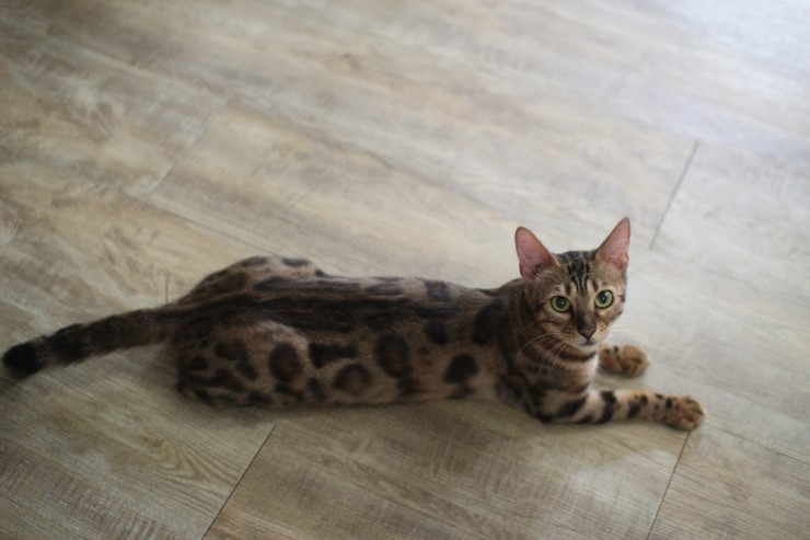 아이들.. 관련 이미지 5