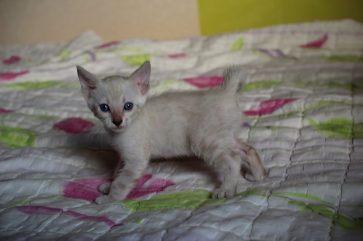 실링스 여아 입니다~ 관련 이미지 3