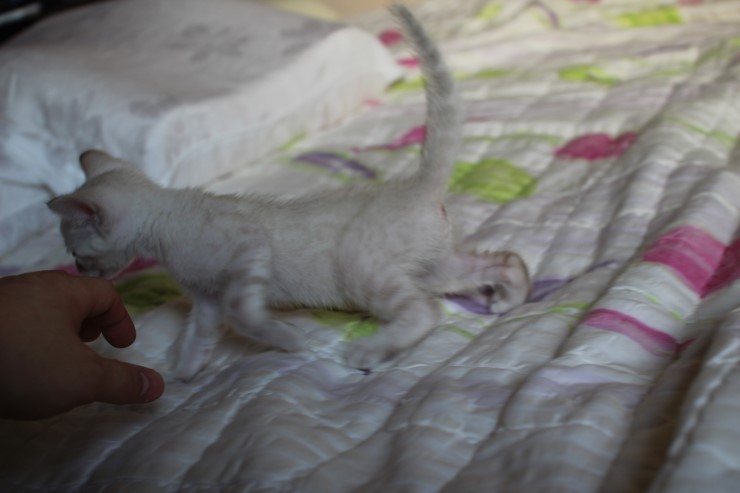 실링스 여아 입니다~ 관련 이미지 7