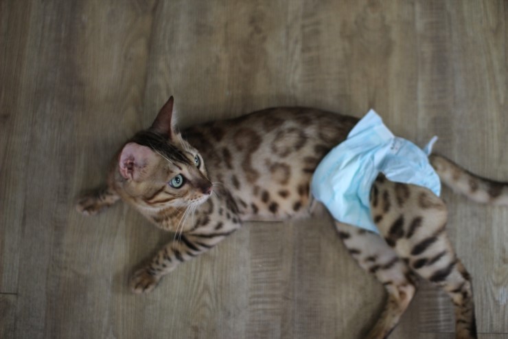 아이들.. 관련 이미지 1