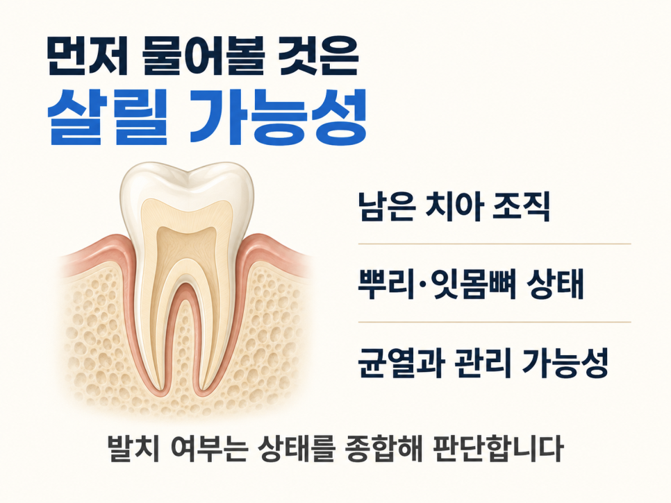 5 Things to Avoid Before Consulting a Recommended Gangnam Dentist image 4