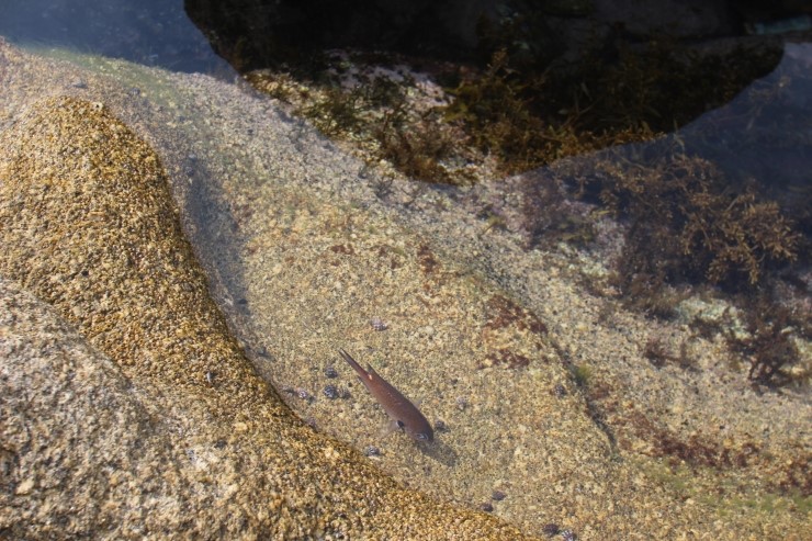 강원도 휴휴암 다녀왔습니다.. 관련 이미지 6