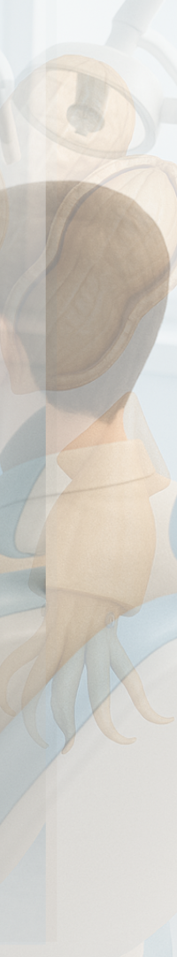 무삭제 라미네이트 추천 시작부터 결정까지 정리 관련 이미지 42