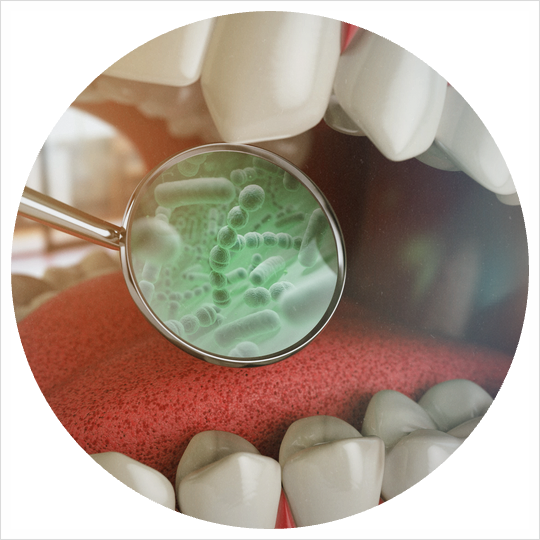 아무리 잘 닦아도 칫솔 교체주기 <제대로> 모르면 소용 없어요 관련 이미지 3