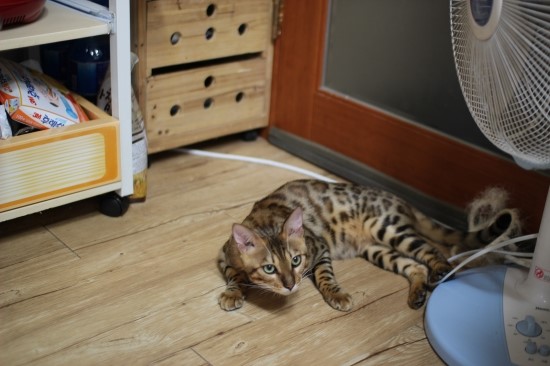 어른이 되어가는 엘리와 레이~ 관련 이미지 1