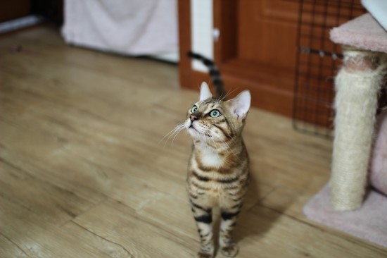 어른이 되어가는 엘리와 레이~ 관련 이미지 6