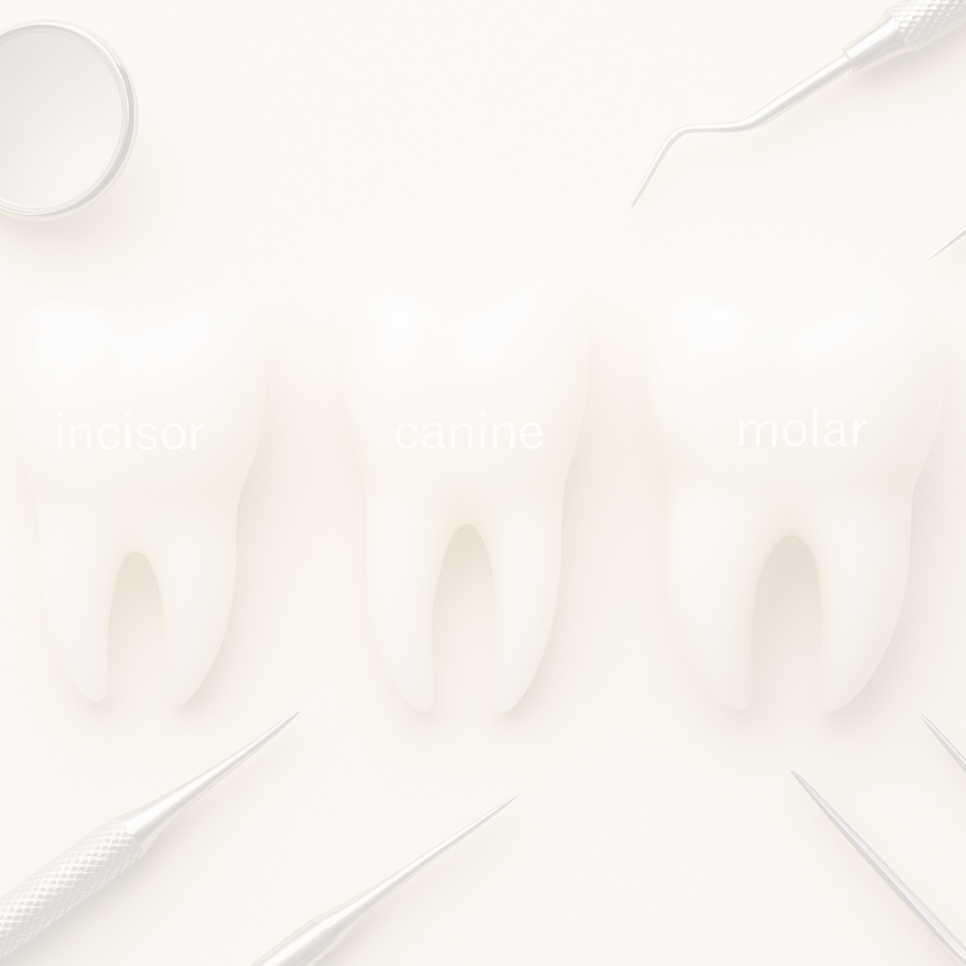 라미네이트 가격 병원 선택 전 꼭 알아야 할 점 관련 이미지 39