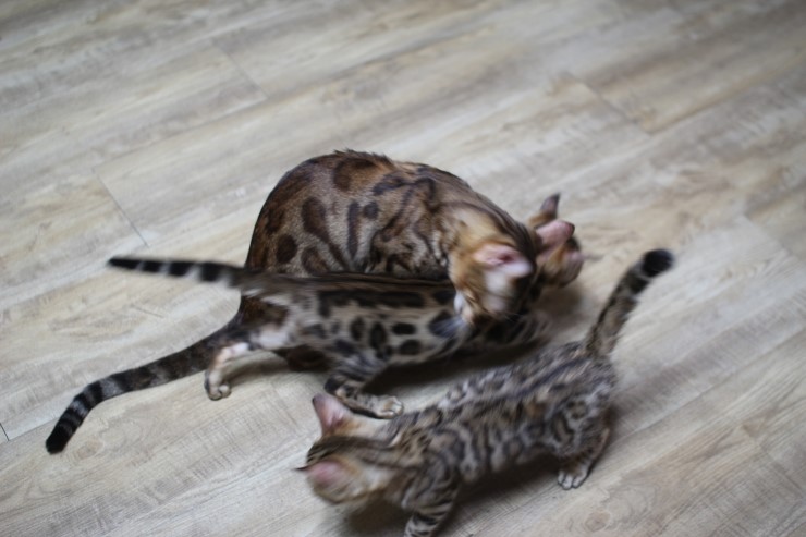 한가족.. 관련 이미지 3