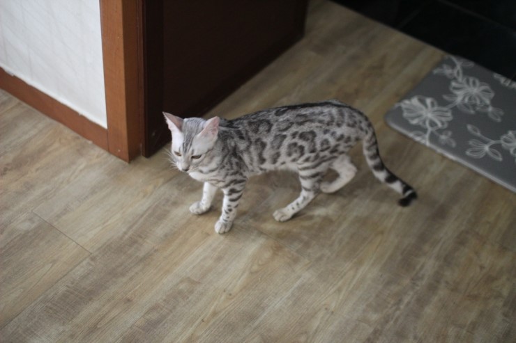 아이들.. 관련 이미지 2