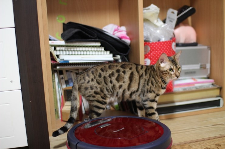 멋있게 성장중인 레이 ㅎㅎ 관련 이미지 2