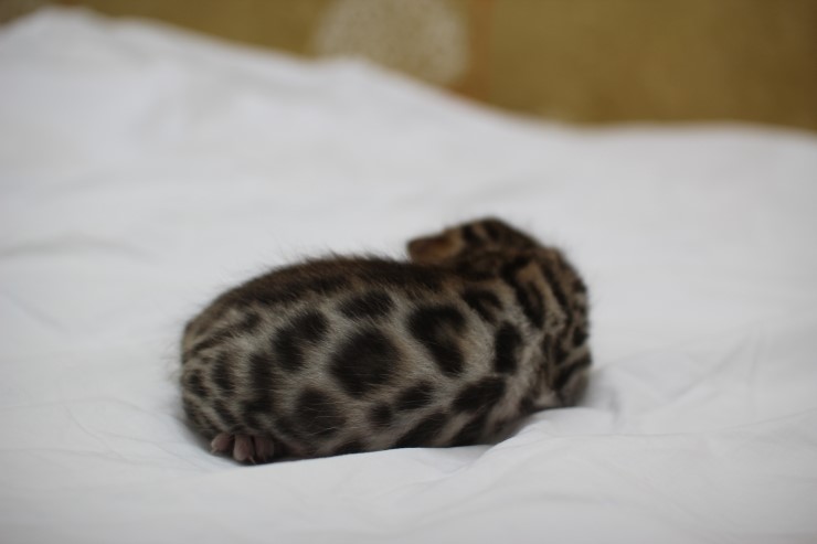 성장모습~ 관련 이미지 1