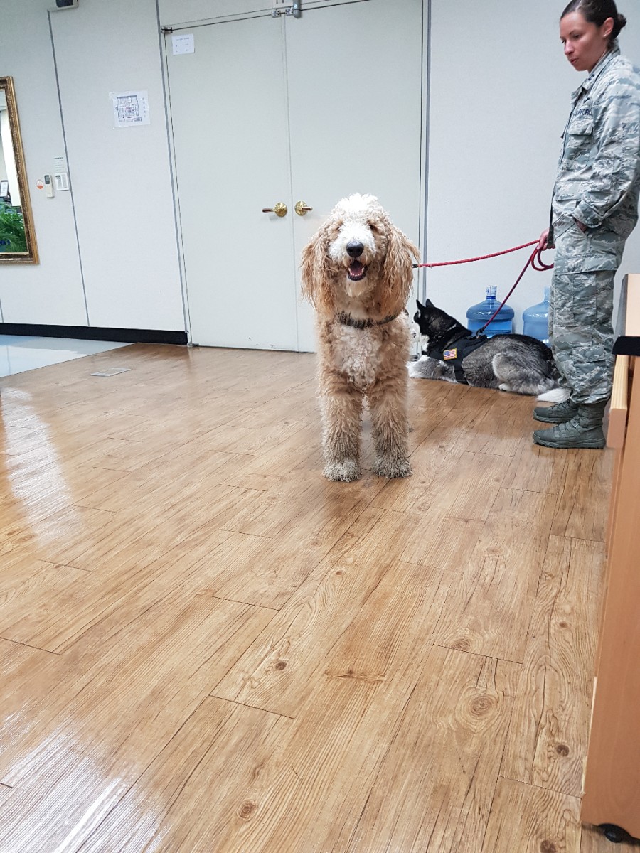 검역소 다녀왔어요 관련 이미지 4