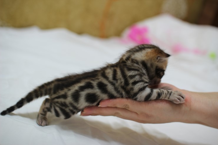 성장모습~ 관련 이미지 6