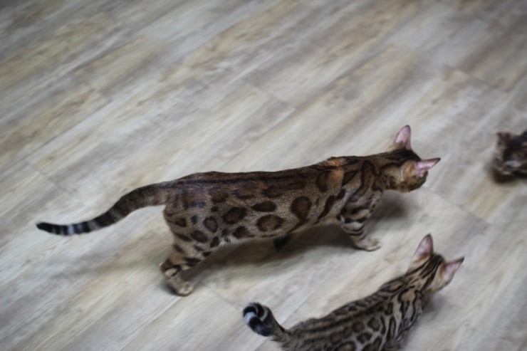 한가족.. 관련 이미지 5