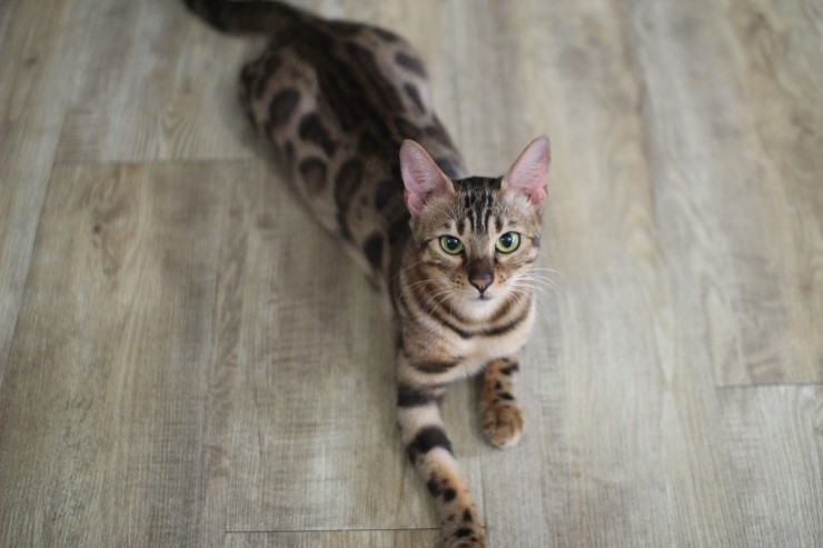 아이들.. 관련 이미지 6