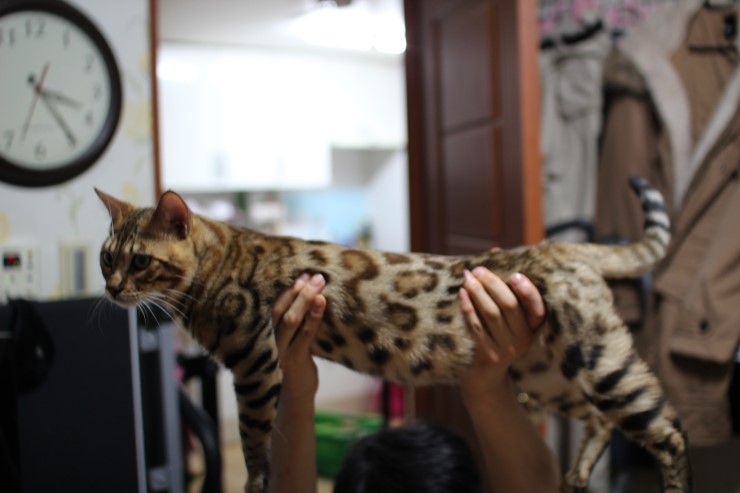 멋있게 성장중인 레이 ㅎㅎ 관련 이미지 6