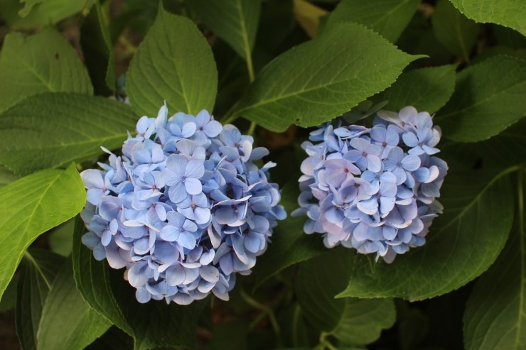 강원도 휴휴암 다녀왔습니다.. 관련 이미지 8