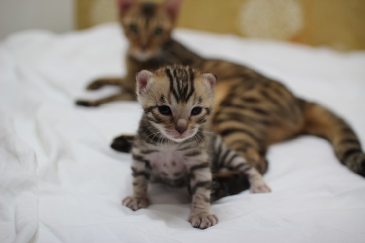 성장모습~ 관련 이미지 4