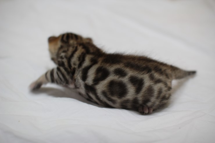 성장모습~ 관련 이미지 2