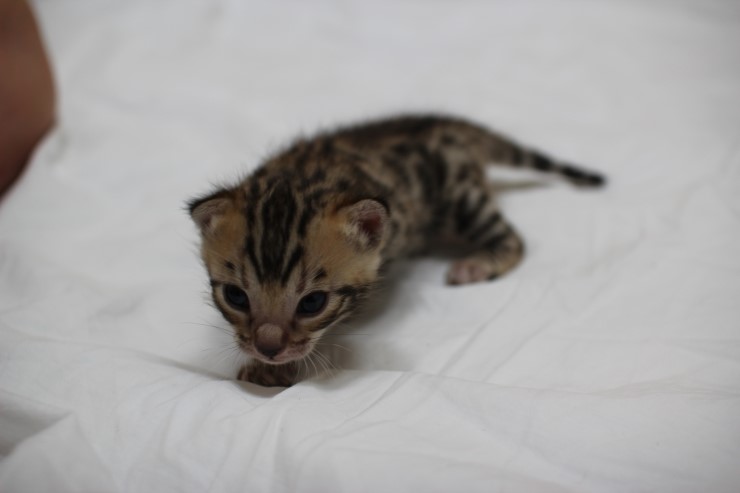 성장모습~ 관련 이미지 8