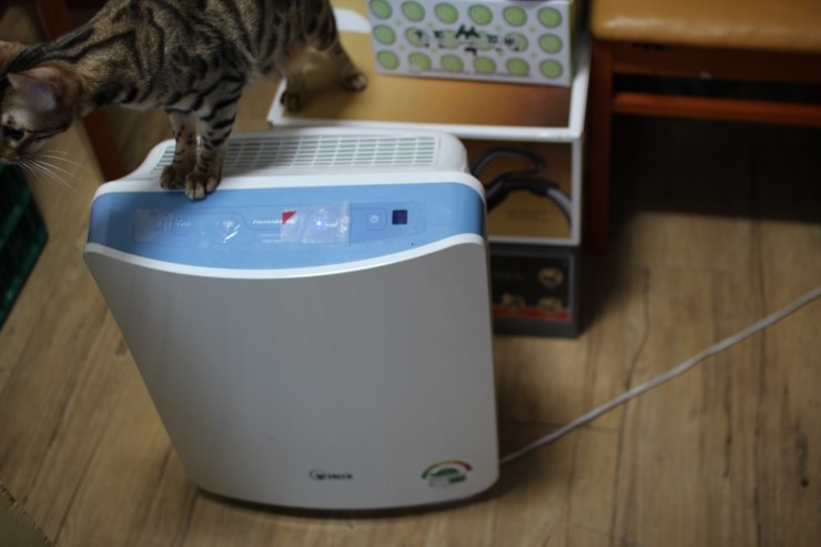 우리집 건강 지킴이~~ 관련 이미지 1