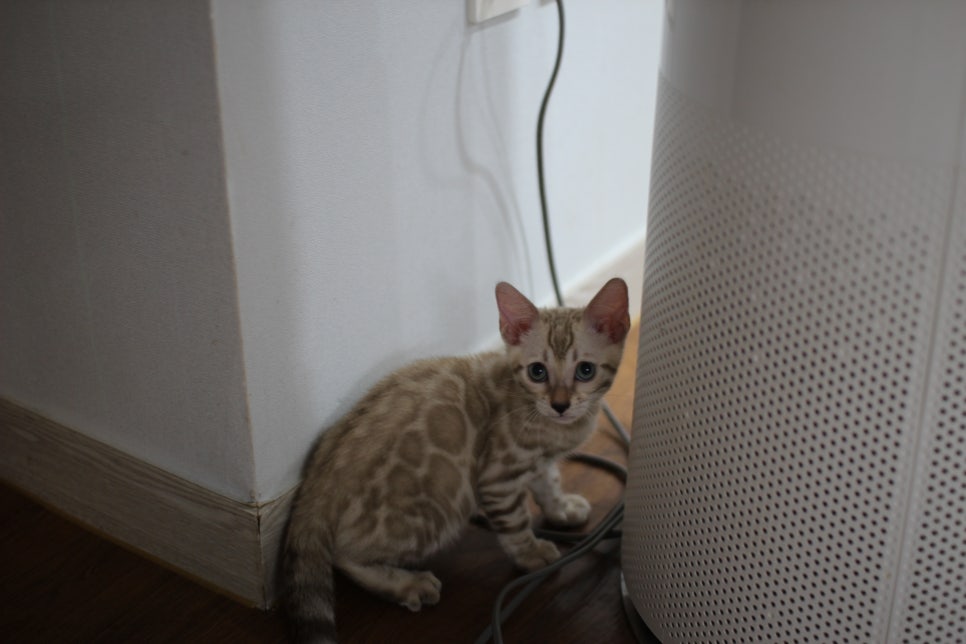 뭘 그렇게 쳐다보니? 관련 이미지 2