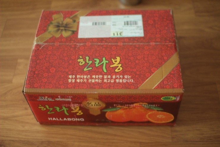 제주도 브리더님 감사합니다~ 관련 이미지 1