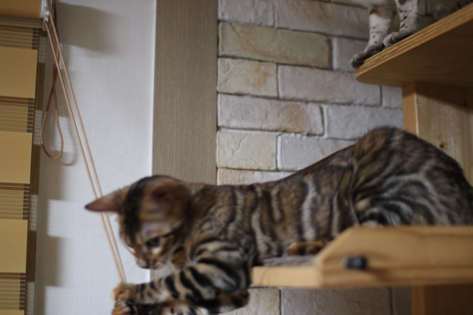 새해 복 많이 받으세요~ 관련 이미지 5