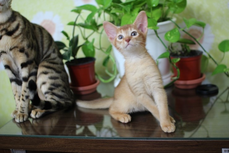 아비 꼬맹이들~ 관련 이미지 3