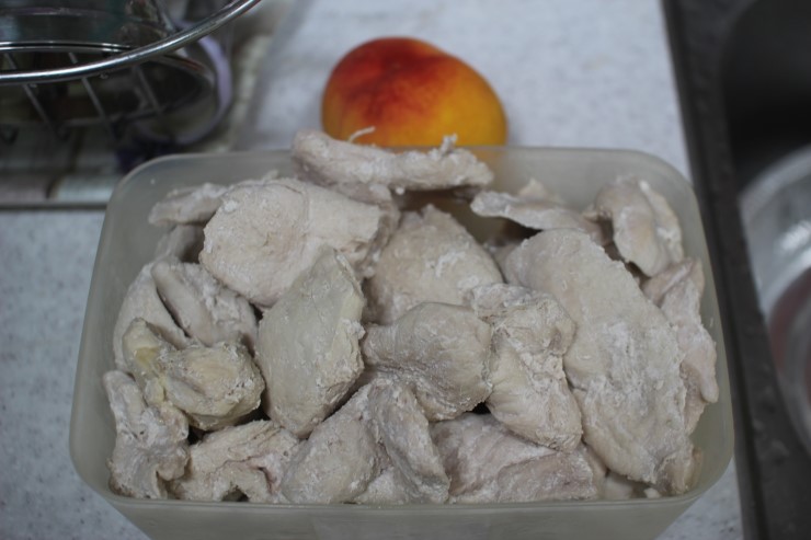 뱅갈고양이,뱅갈고양이 분양,보름달 보고 가세요 ㅎㅎㅎ 관련 이미지 1