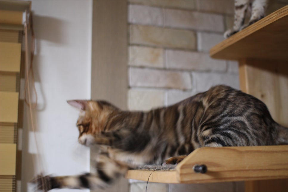 새해 복 많이 받으세요~ 관련 이미지 3