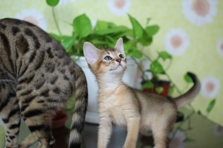 아비 꼬맹이들~ 관련 이미지 8