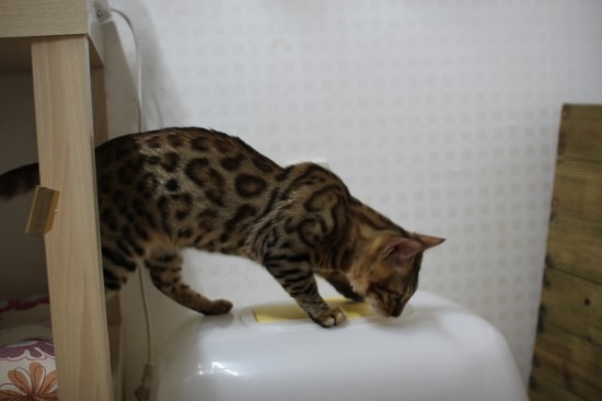 어른이 되어가는 엘리와 레이~ 관련 이미지 3