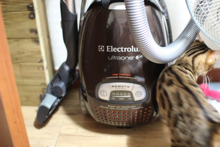 우리집 건강 지킴이~~ 관련 이미지 2