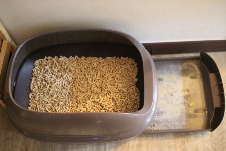 소유뱅갈고양이 캐터리에 사용중인 용품 관련 이미지 3