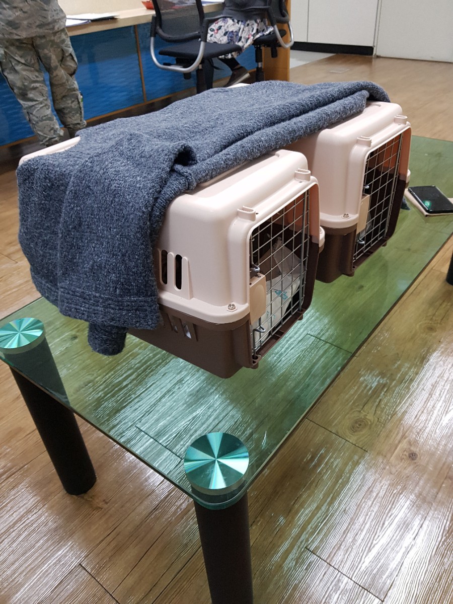 검역소 다녀왔어요 관련 이미지 3