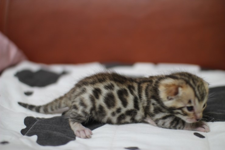 토실토실~ 관련 이미지 5