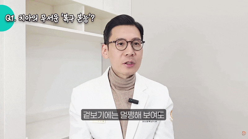 교정 유지장치 기간, 언제까지 해야 할까요? 관련 이미지 5