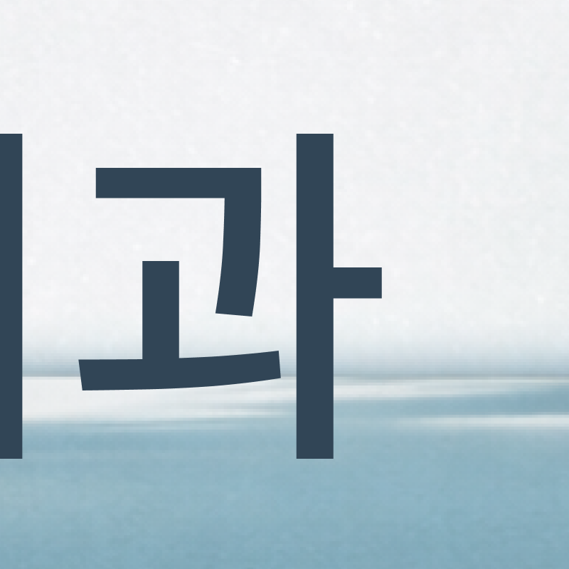 성인 돌출입 교정, 발치 없이도 변화가 가능할까? 관련 이미지 5