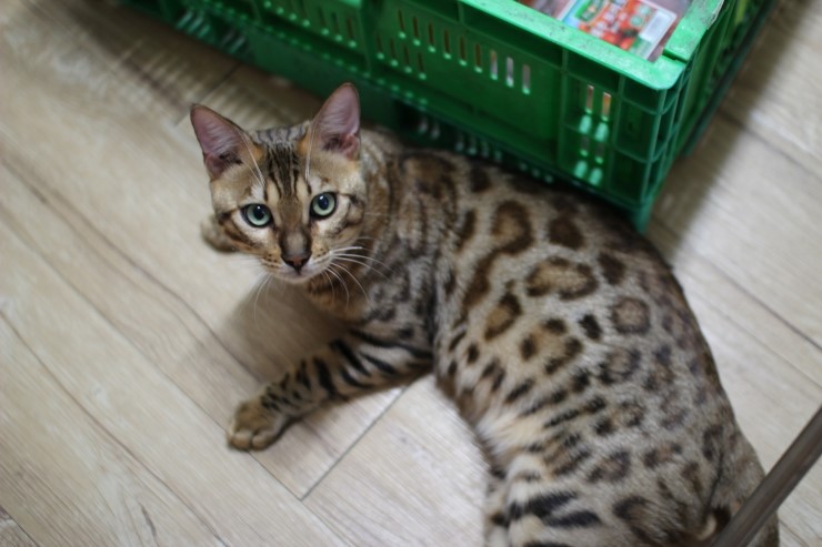 멋있게 성장중인 레이 ㅎㅎ 관련 이미지 5